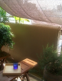 e0131724_1394211.jpg