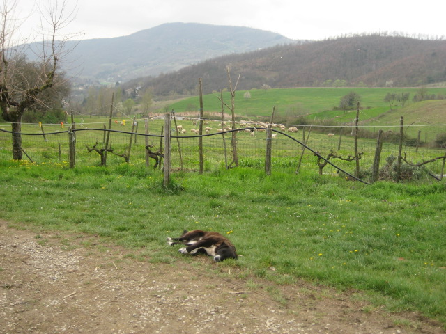d0147727_16213459.jpg