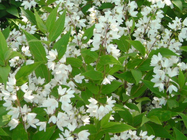 e0016828_12482353.jpg