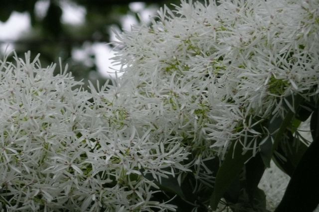 e0033229_21151571.jpg