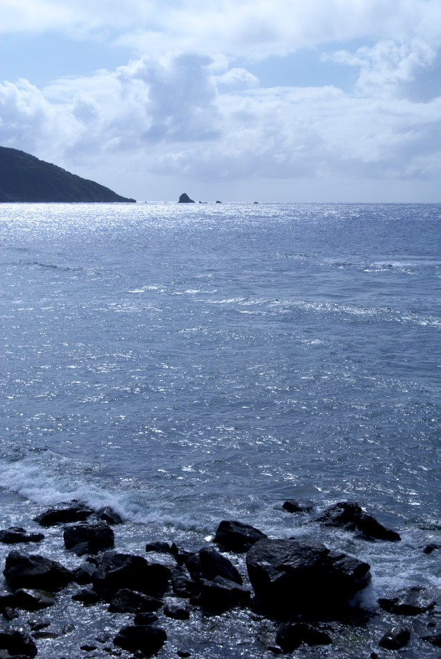 d0053930_16585240.jpg