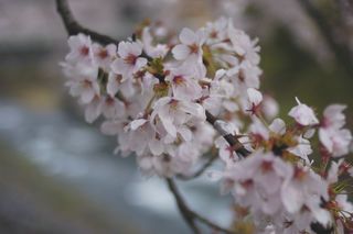 c0133133_13115466.jpg