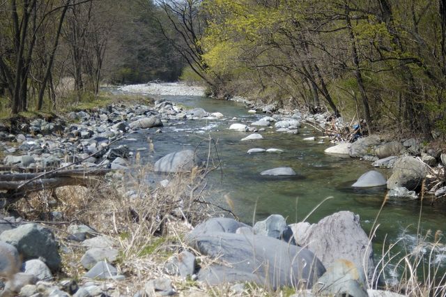 c0133133_13281485.jpg
