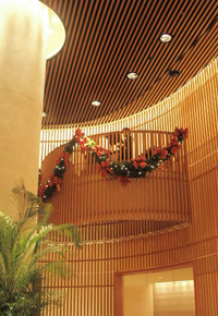 b0035734_17551425.jpg