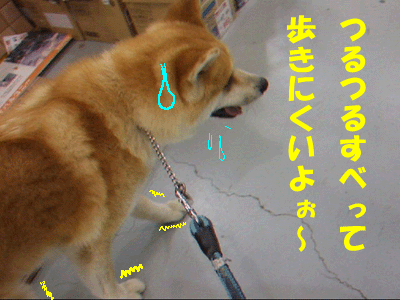 f0008935_0122554.gif