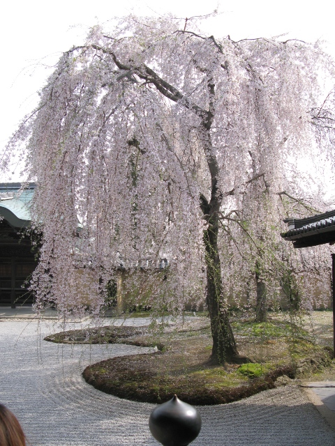 b0130636_9482411.jpg