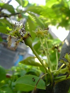 c0056437_0501856.jpg