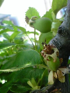 c0056437_050453.jpg