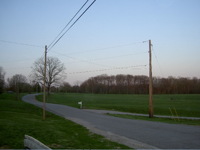 a0040739_8493485.jpg