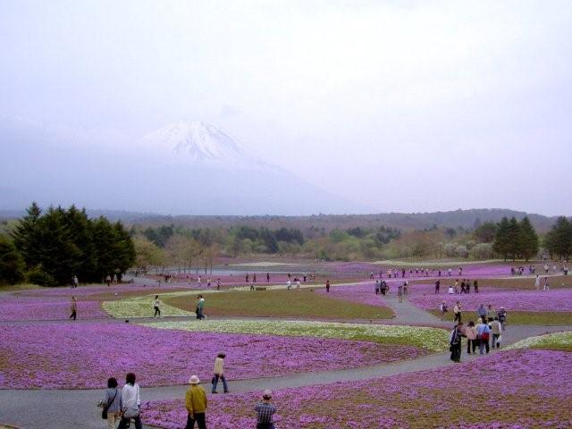 c0130741_20113949.jpg