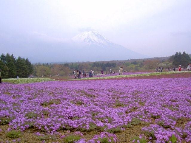 c0130741_20133974.jpg