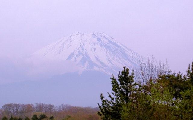 c0130741_20301758.jpg