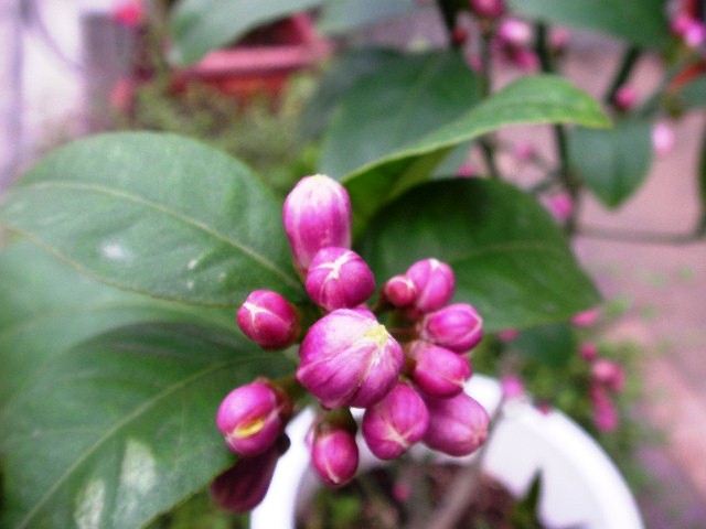 f0034444_23373053.jpg