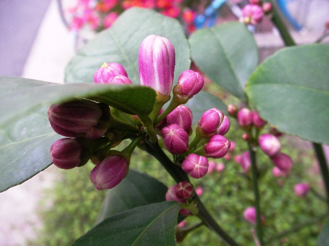 f0034444_23374952.jpg