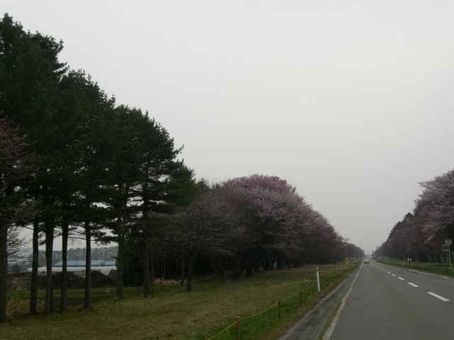 b0049549_21424086.jpg