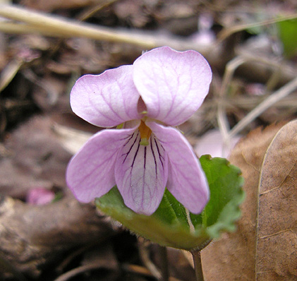 a0001354_231232.jpg
