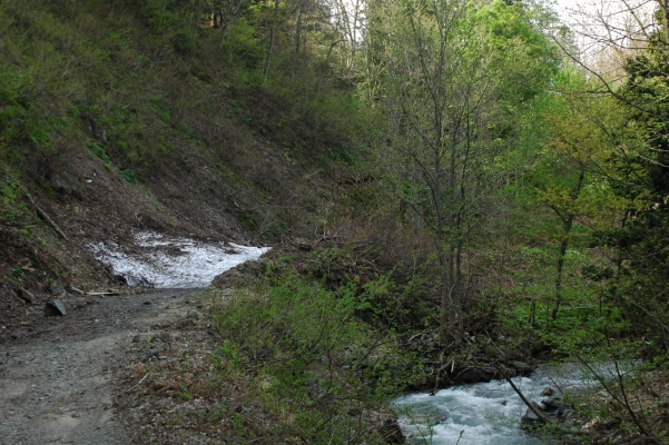 d0098057_4175743.jpg