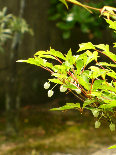 f0074659_2139660.jpg