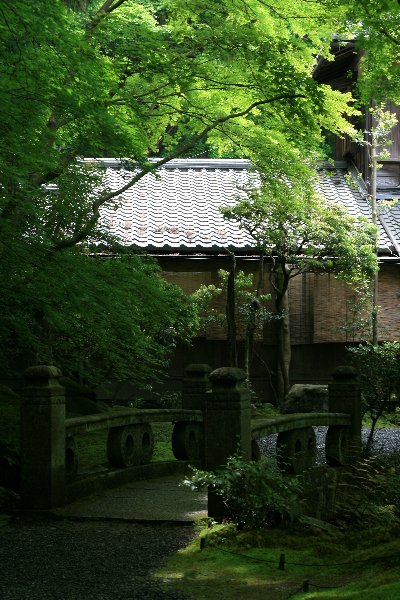 d0152960_439034.jpg