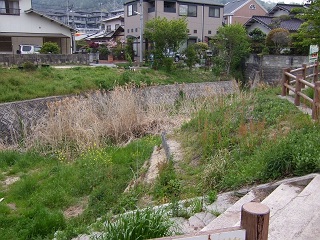 b0095061_11321216.jpg
