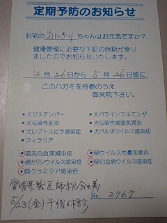 f0050468_0175189.jpg
