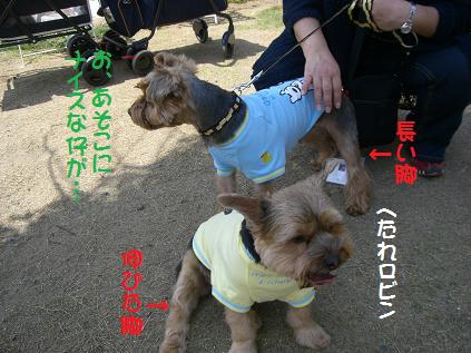 a0105570_6494772.jpg