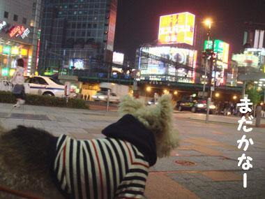 b0091373_17491369.jpg