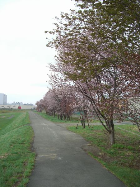 b0000885_929310.jpg