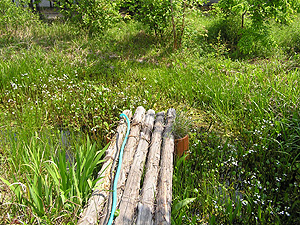 e0066586_7311688.jpg