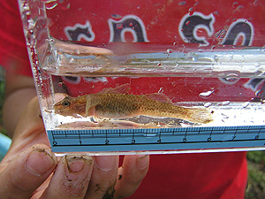 e0066586_732540.jpg