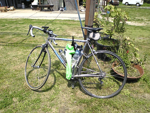 a0096787_20281039.gif