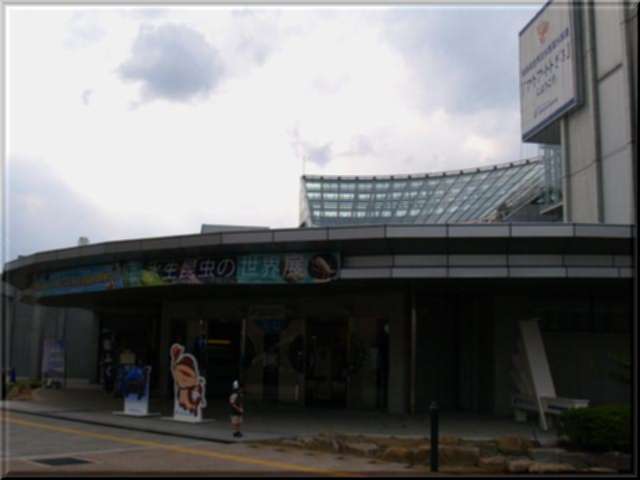 a0043395_19335158.jpg