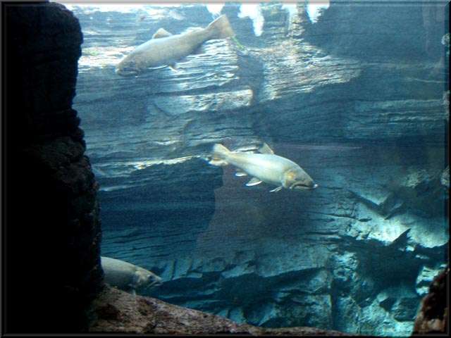 a0043395_1935497.jpg