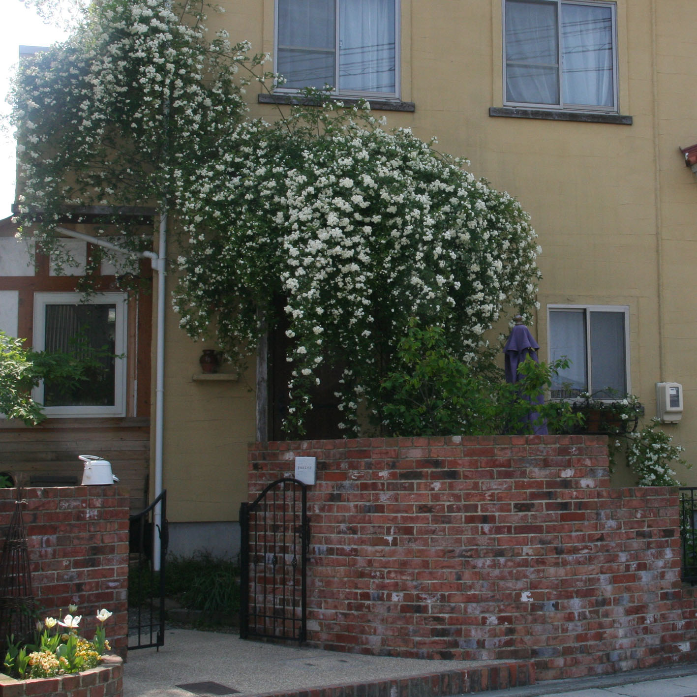c0092895_934746.jpg