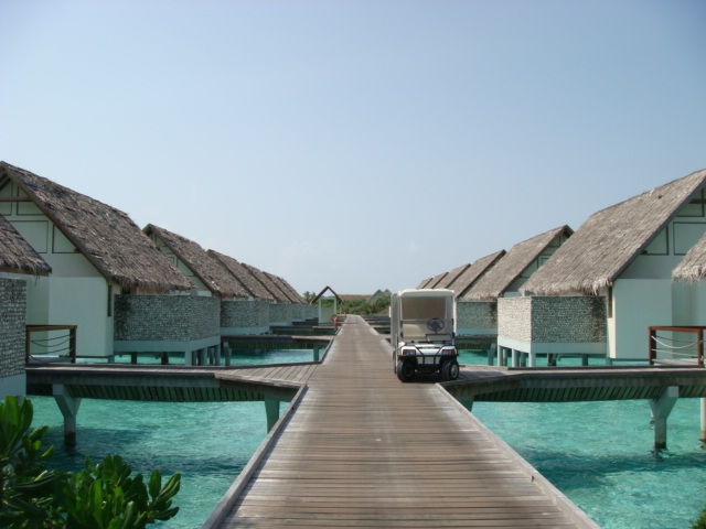 b0048298_17331377.jpg