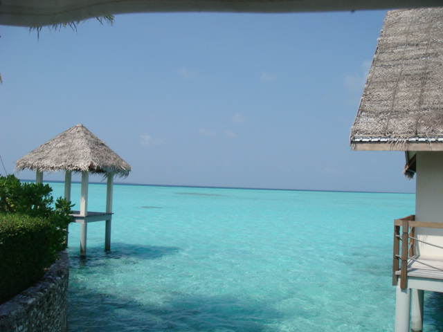 b0048298_17343679.jpg