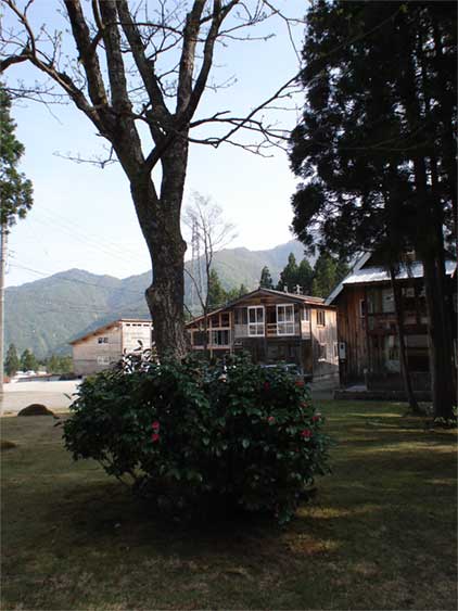 a0061599_8115958.jpg