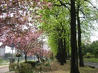e0122199_14343953.jpg