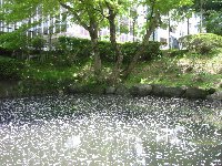 e0122199_14352283.jpg