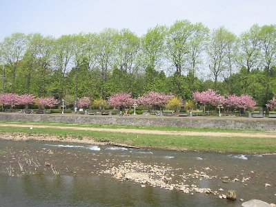 e0122199_14472739.jpg