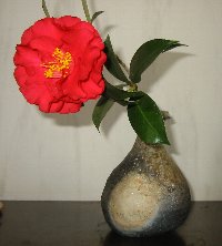 e0122199_1554073.jpg