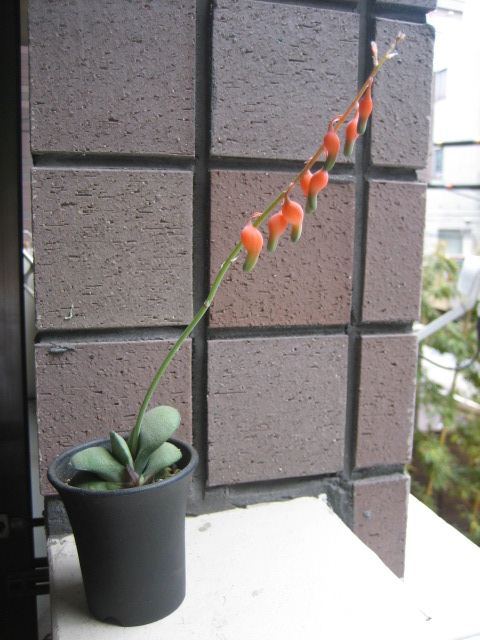 b0136300_22152128.jpg