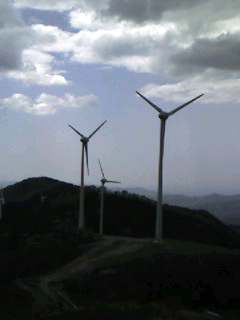 c0107402_1631450.jpg