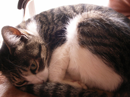 d0100502_17594879.jpg