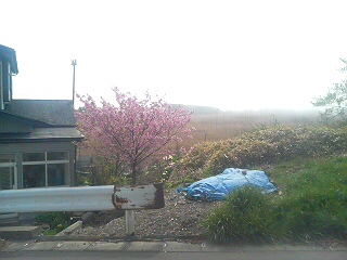 d0149105_9594990.jpg