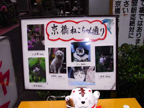 c0139007_1420769.jpg