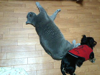 e0147508_15553839.jpg