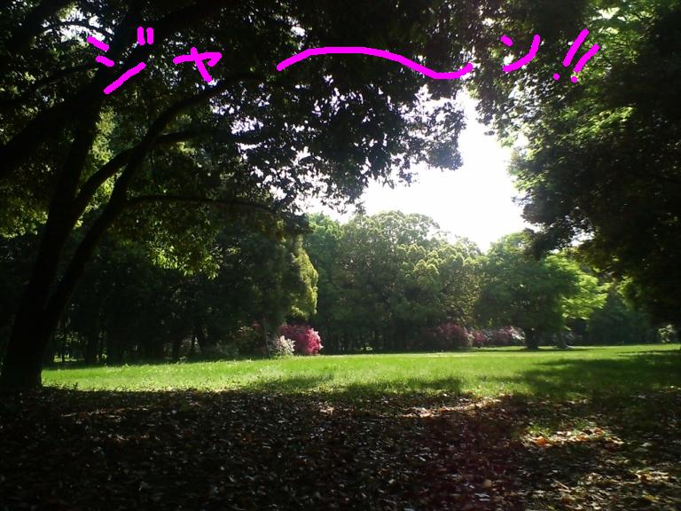 c0113109_19411565.jpg