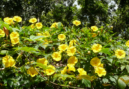 c0127909_18125874.jpg