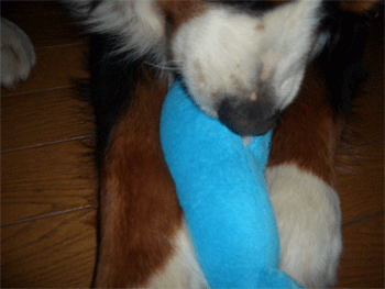 c0143711_1222429.gif